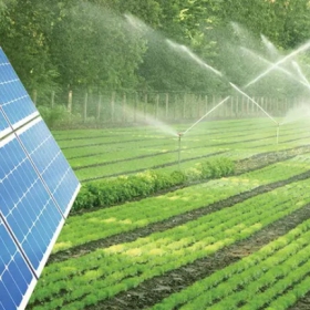 Kết hợp điện mặt trời với sản xuất nông nghiệp, triển vọng phát triển của năng lượng Việt Nam