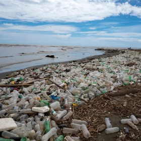 Rác thải nhựa đại dương và những con số biết nói